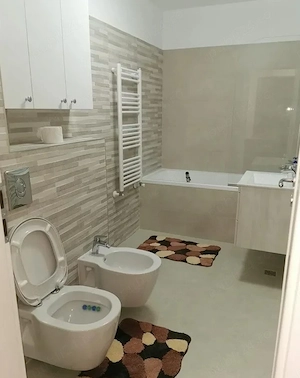 in Satu Mare ofer chirie apartament 2 camere - imagine 5