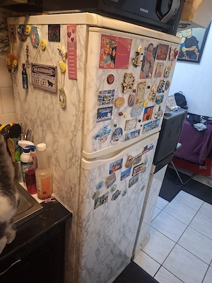 frogider cu congelator combina frigorifica  no frost 170cm 50cm stare buna - imagine 4