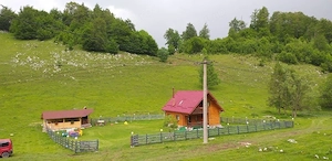 cabana de inchiriat - imagine 4