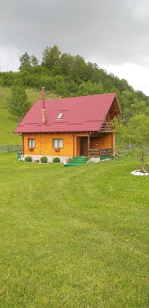 cabana de inchiriat - imagine 5