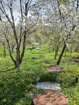 vind casa frumoasa in vulcana de sus Dâmbovița  - imagine 5