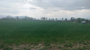Vând în ăntregime un teren intravilan în orașul Hațeg cu suprafața de 3,4 ha - imagine 7