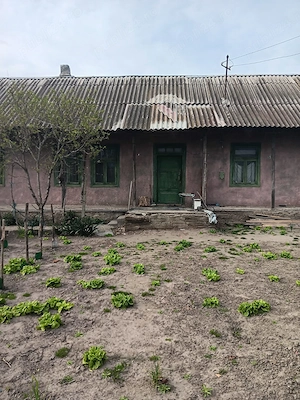 Buna ziua ! Vand casa in comuna ,Dunavat de Sus ,Tulcea !  - imagine 3