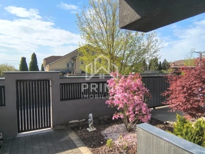 Casa individuala, P+1, 5 camere, 121 mp utili. - imagine 8