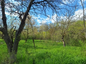 Moșia boierească din vârf de deal, Scorțeni - Prahova, comision 0% - imagine 19