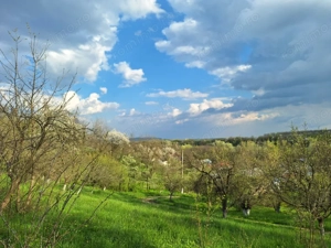 Moșia boierească din vârf de deal, Scorțeni - Prahova, comision 0% - imagine 8