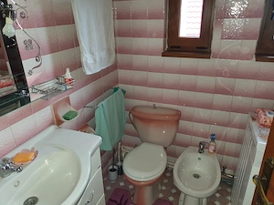 Vila D+P+E, Vladesti-Valcea - imagine 3