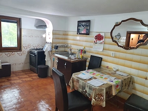 Vila D+P+E, Vladesti-Valcea - imagine 9