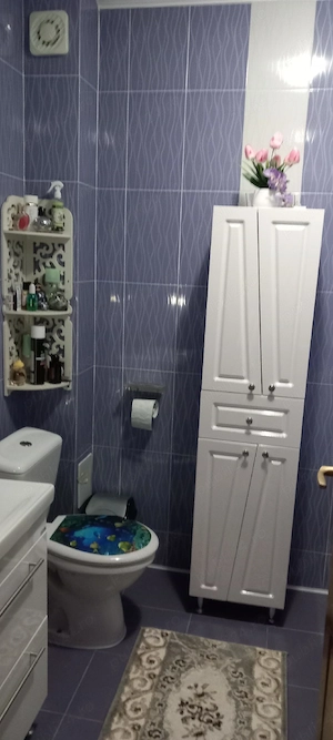 vinzari imobil - imagine 3