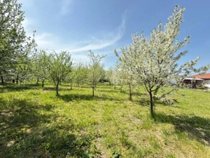 Teren intravilan 1190 mp | Dragsina (lângă Albina) | Utilități | Front 20 ml  - imagine 3