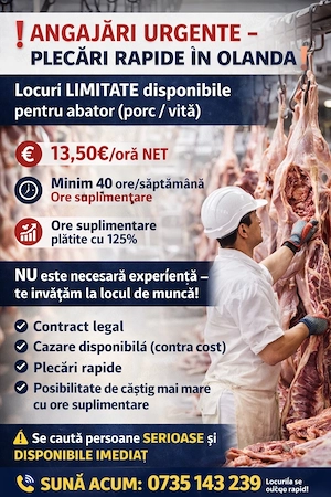 Angajăm abator Olanda   13,50  oră NET   plecări rapide