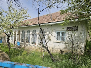 Casă spațioasă cu 2 corpuri de clădire si 1391 mp teren-Comuna Viișoara Teleorman - imagine 2