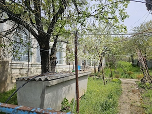 Casă spațioasă cu 2 corpuri de clădire si 1391 mp teren-Comuna Viișoara Teleorman - imagine 3