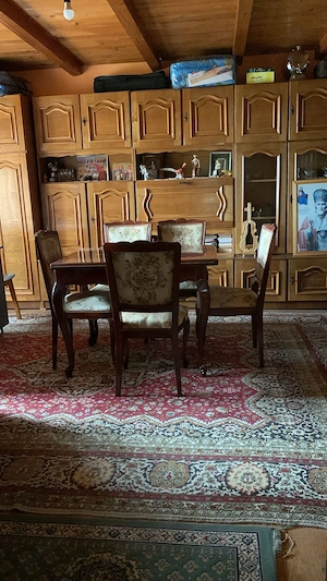 Proprietate 1,5 hectare la drum principal - casa si teren - imagine 8