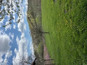 casa 120 mp cu teren agricol 3384 mp, com.Barsanesti, jud.Bacau - imagine 4