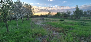 Casa de vanzare Chijic comuna Copacel - imagine 5