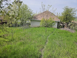 Casă spațioasă cu 2 corpuri de clădire si 1391 mp teren-Comuna Viișoara Teleorman - imagine 5