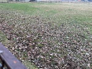 Vand teren intravilan in Horodnic de Sus strada Toplitei 30 ari