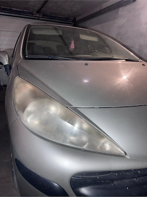 Polish Faruri 120 lei