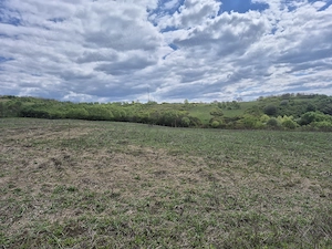 Teren de vanzare - imagine 5