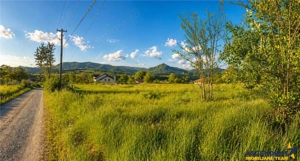 Teren intravilan panoramic, 5.750 mp, view munte, deschidere apreciabila, Ibanesti,  Mures - imagine 6