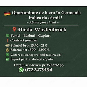 Oportunitate locuri de muncă în Germania! Abator porc și vită  !!!