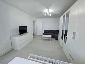 De inchiriat apartament cu 1 camera, zona Buziasului  - imagine 6