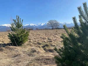 Teren Intravila Valea Avrigului, zona turistica 