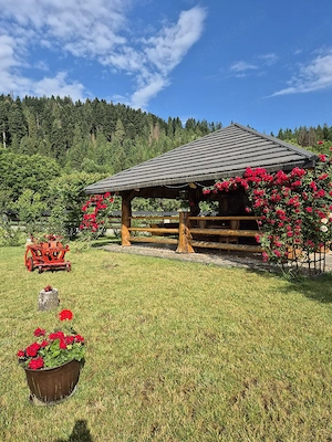 Casa de Poveste - imagine 5