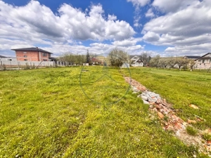 Teren intravilan 1100 mp – Unirea - imagine 5