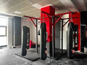 Vând Cadru saci box 