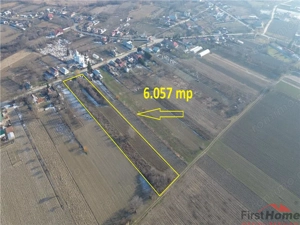 Teren 6.057 mp in Radulesti cu deschidere 30 metri la asfalt - imagine 3