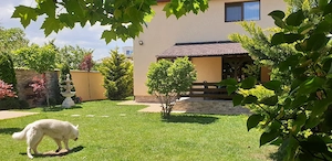 Casă unică, poziție imbatabilă - imagine 8