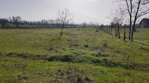  Teren de vanzare in zona de padure Cornetu  - imagine 2