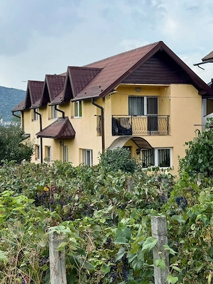 Vând casa in Goranu - Rm Valcea