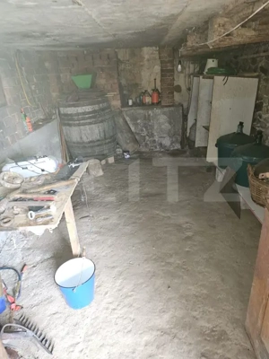 Casa plan parter plus etaj cu 3 camere, 158 mp si 6300 mp teren, zona Balcesti - imagine 5