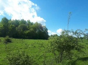 Câmpulung Muscel, Cretisoara, teren intravilan 2946 mp, deschidere 150 ml,  - imagine 6