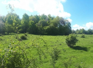 Câmpulung Muscel, Cretisoara, teren intravilan 2946 mp, deschidere 150 ml,  - imagine 4