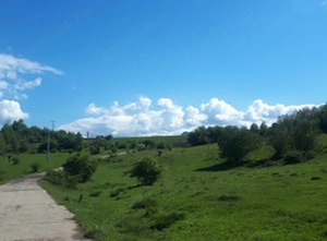 Câmpulung Muscel, Cretisoara, teren intravilan 2946 mp, deschidere 150 ml,  - imagine 7