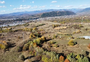 Câmpulung Muscel, Cretisoara, teren intravilan 2946 mp, deschidere 150 ml,  - imagine 8