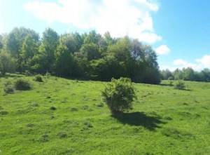 Câmpulung Muscel, Cretisoara, teren intravilan 2946 mp, deschidere 150 ml,  - imagine 5