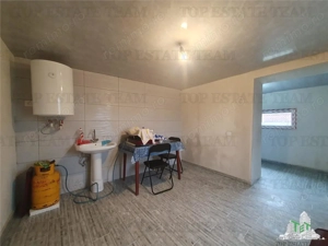 Colt de rai la tara doua case renovate cu baie, livada si vita de vie - imagine 7