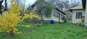 Proprietar, vand 2 case pe un picior de Plai, cu priveliste superba, in Provita de Sus, Prahova