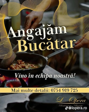 Angajam in locatia noastra L'Opera - imagine 2