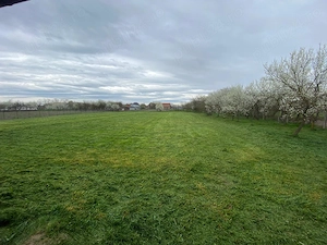 Vind Casa Sintea Mare - imagine 10