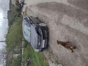 cj28uok autoturism OPEL parasit in cheile baciului
