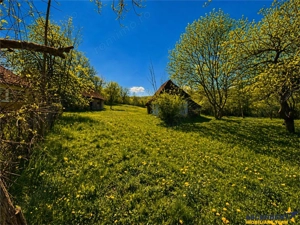 Casa traditionala,zona pitoreasca,domeniu de 3.400 mp,Suveica,Acatari,Mures - imagine 3