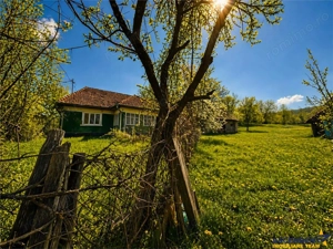 Casa traditionala,zona pitoreasca,domeniu de 3.400 mp,Suveica,Acatari,Mures - imagine 5
