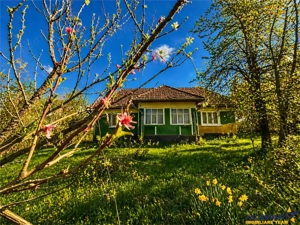 Casa traditionala,zona pitoreasca,domeniu de 3.400 mp,Suveica,Acatari,Mures