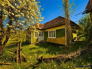 Casa traditionala,zona pitoreasca,domeniu de 3.400 mp,Suveica,Acatari,Mures - imagine 10